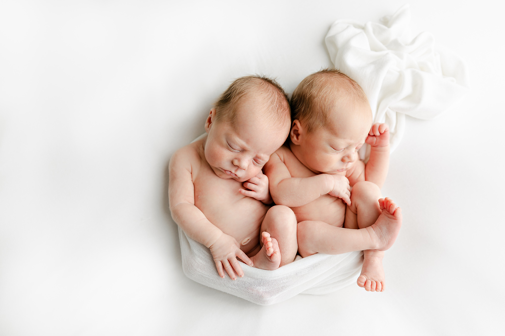 Tiffany Brubaker Photography – La Crosse, WI newborn and family